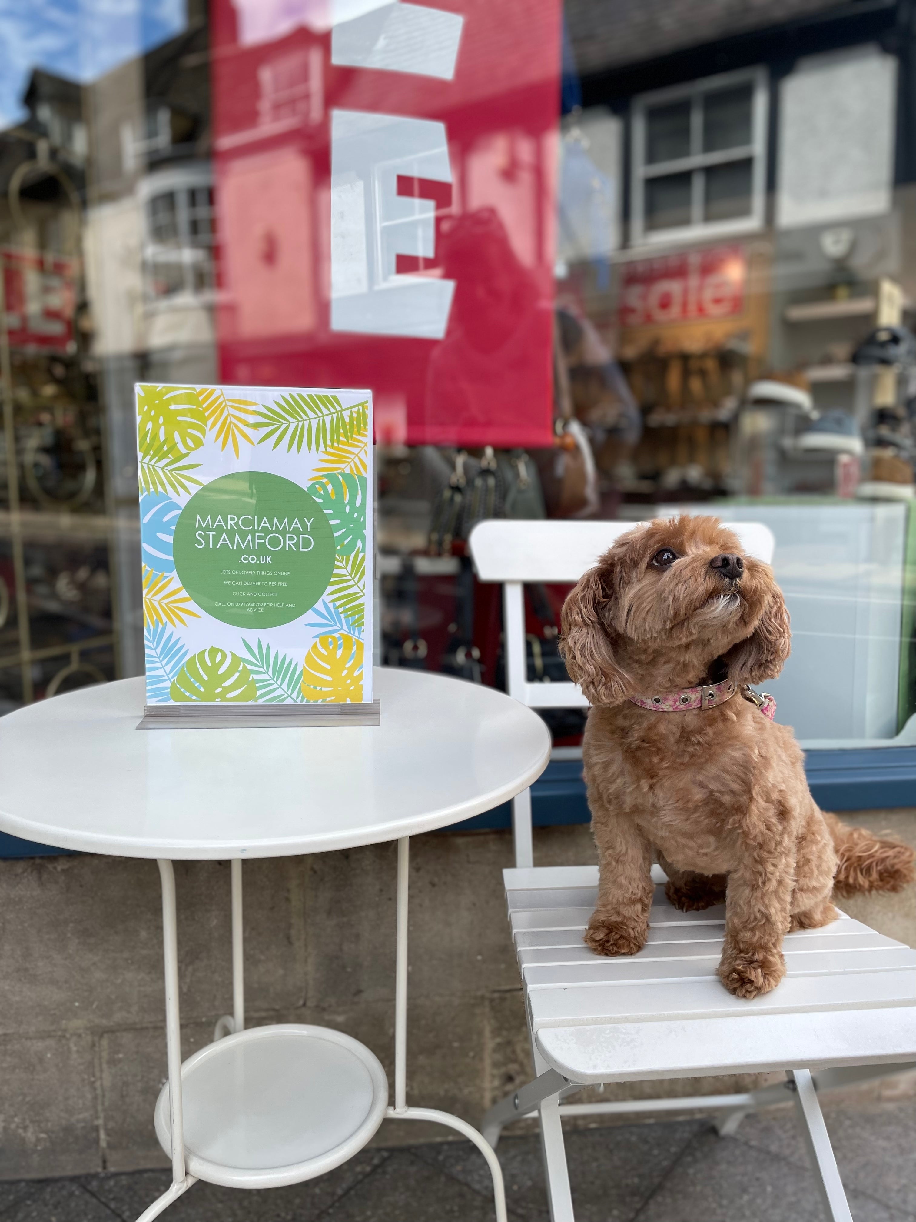 Stockist Spotlight: Marcia May, Stamford