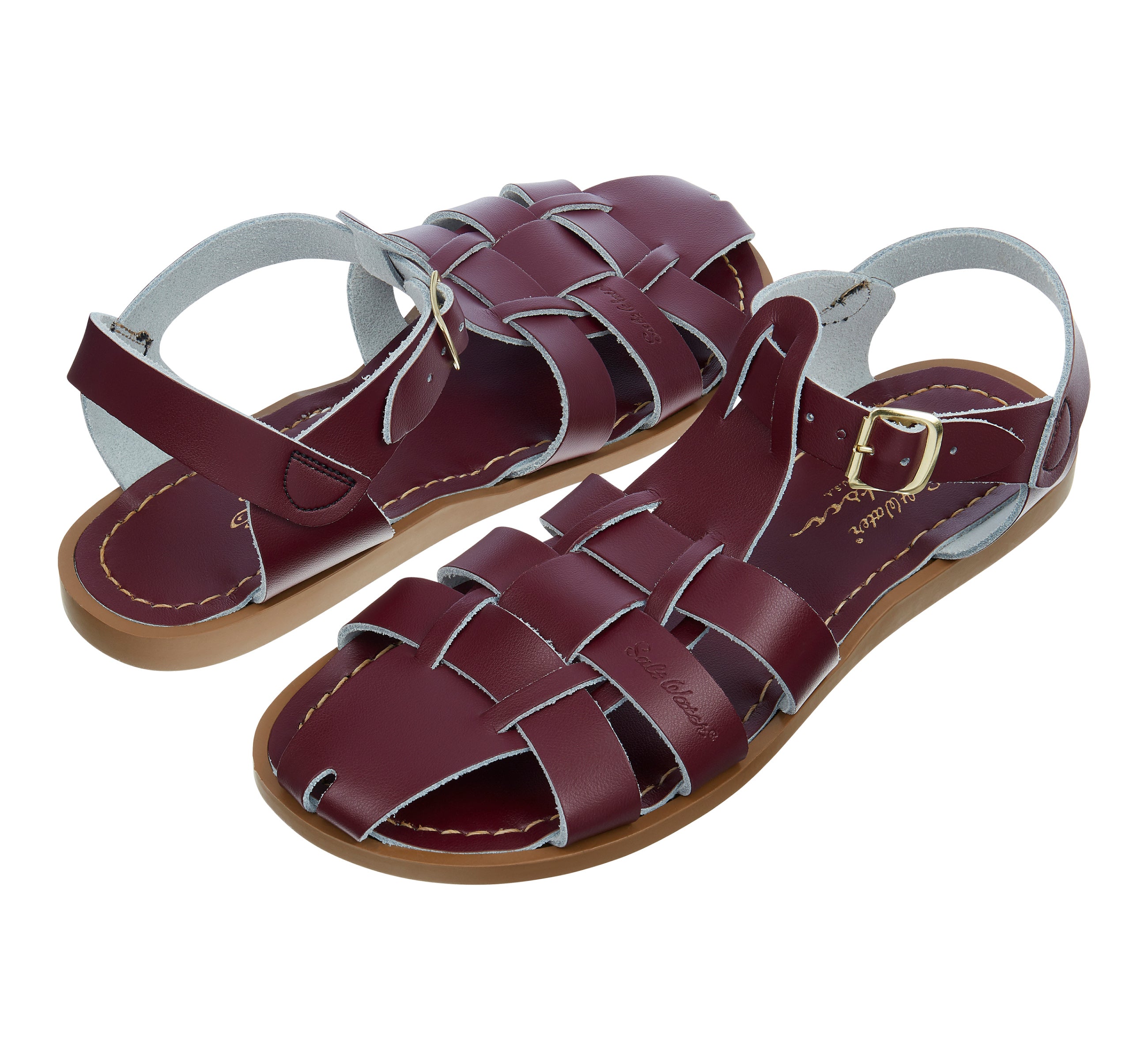 Shark Original Claret Sandal for Women SaltWater Sandals Shop UK